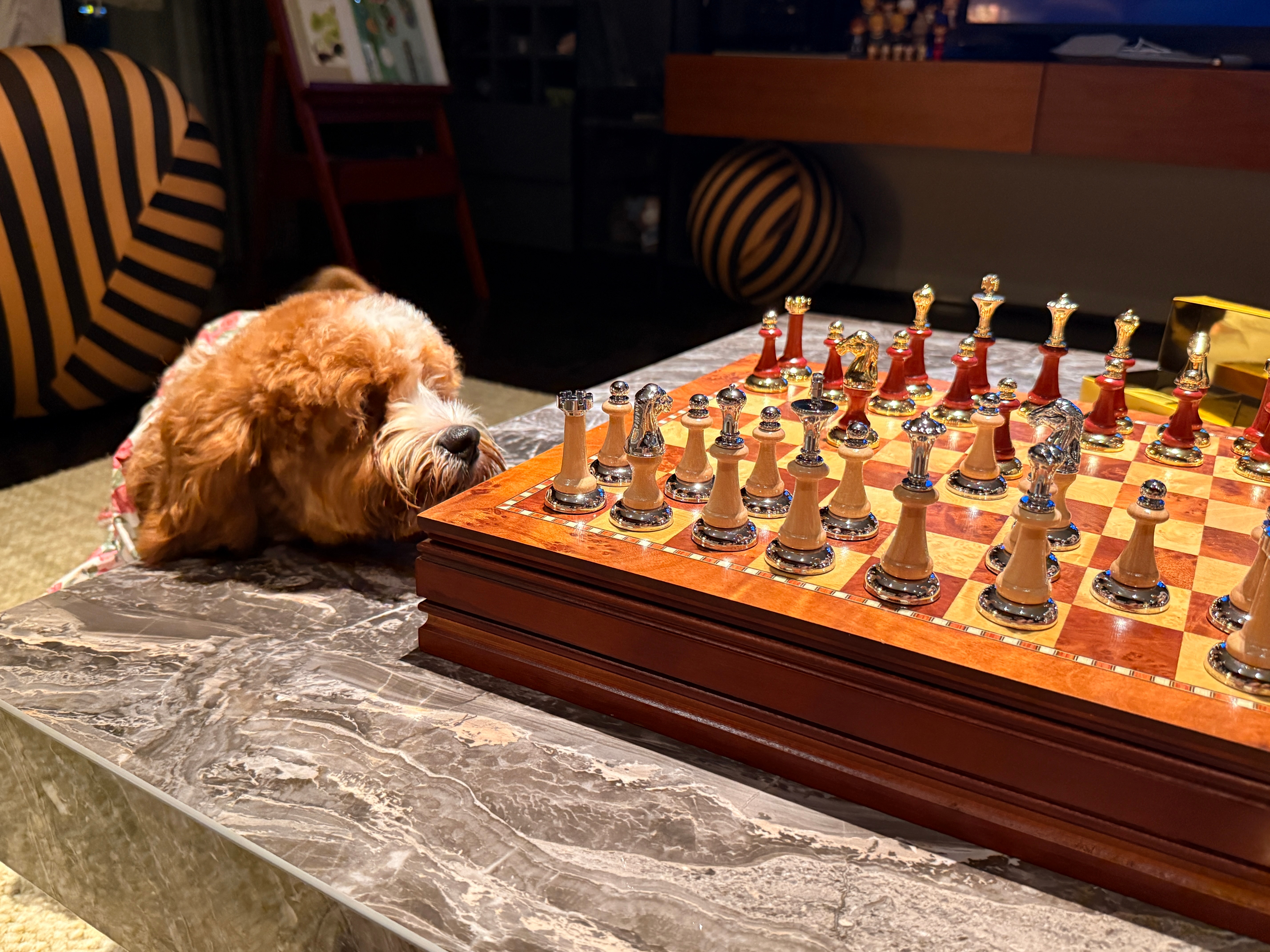 我的女仆在偷窥我的棋子 ​​​
