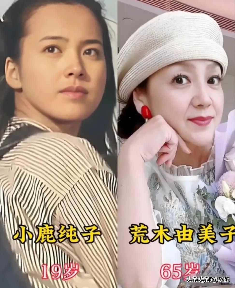 荒木由美子65岁，中原步19岁离世，《排球女将》演员今昔对比，小鹿纯子永远年轻