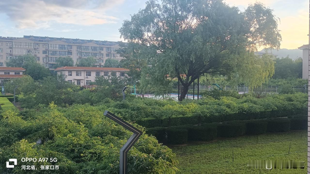 怀来县政府后花园果园。
