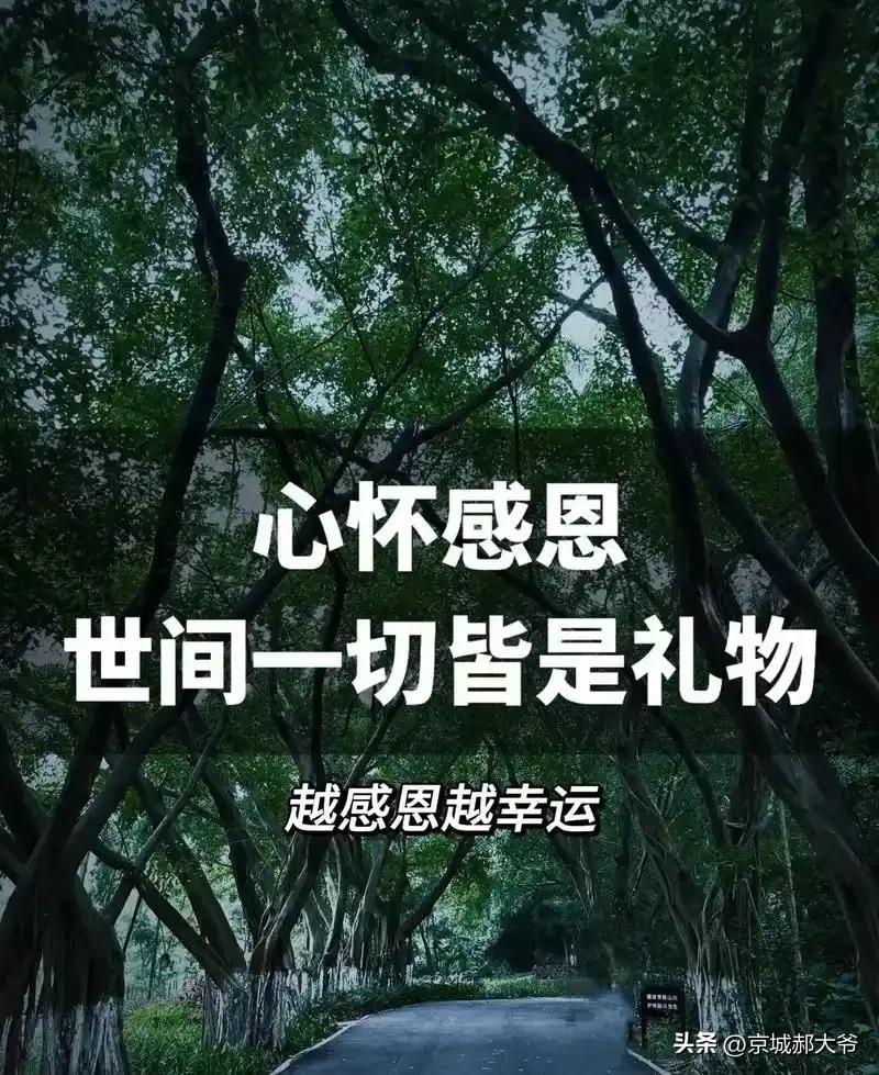 很多人都不知道，自己赚的钱轻松买下一百斤大米，并不是代表自己的付出超过种出一百斤