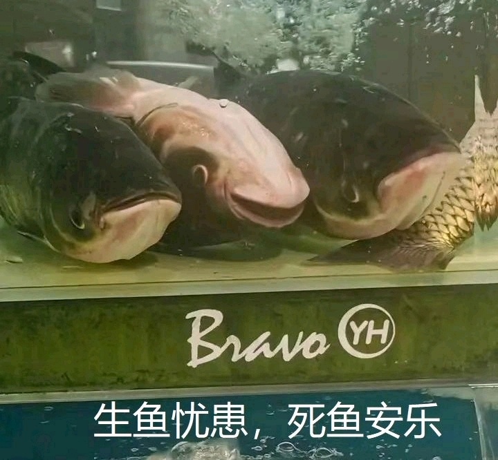 #特朗普对拜登来电表示感谢#表面笑嘻嘻，背地MMP……川普估计已经在准备稿子证明