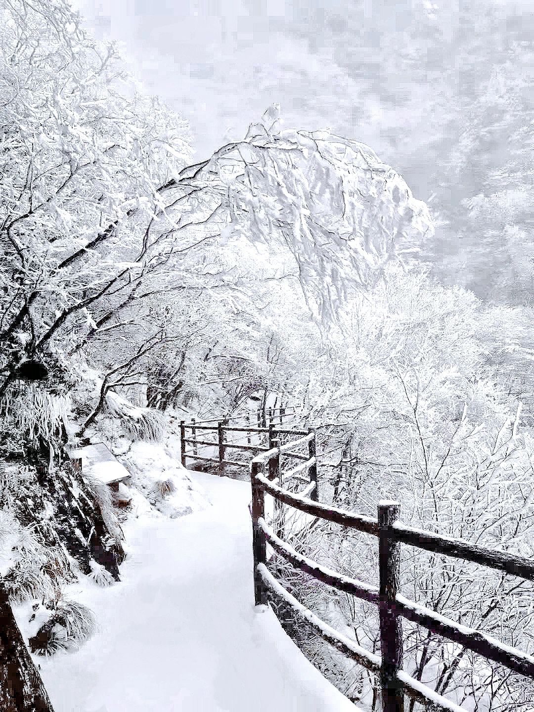 广东周边不用爬的雪山！莽山五指峰避坑攻略
