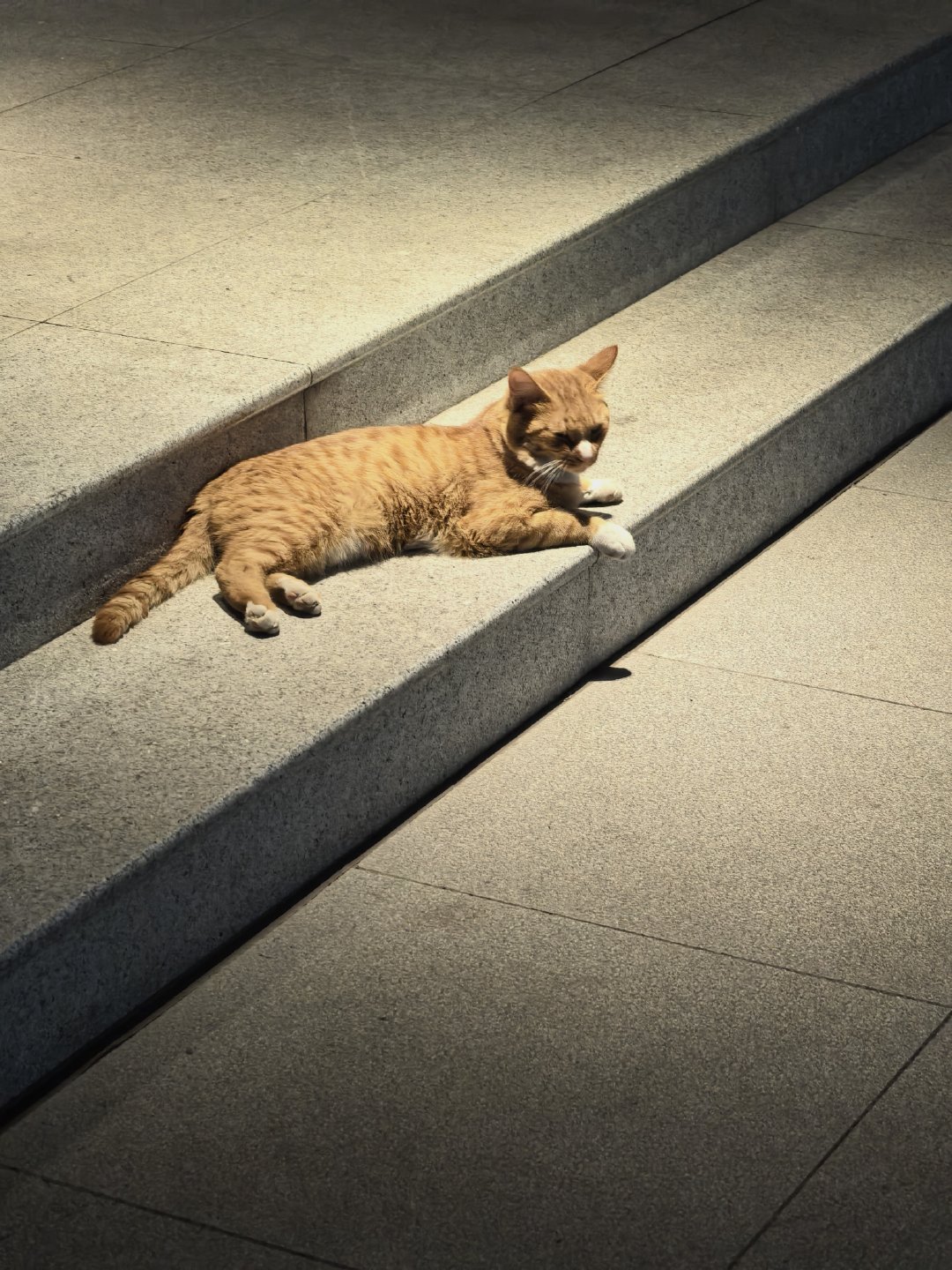 修猫修猫🐱 ​​​