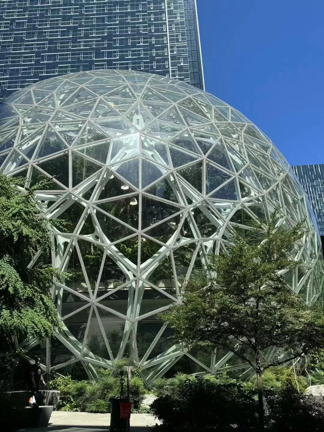 除了'中国
美国亚马逊云服务故障太可怕了，直接导致全球多家网络瘫痪。网站故障监测