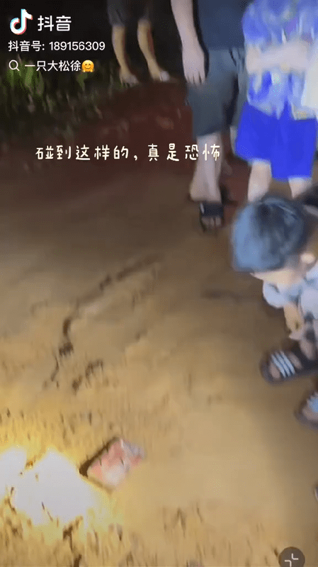 “怕鬼真的太可笑了，来看看人心!”海南陵水，游客凌晨赶海，发现多块带钉的木板。恶