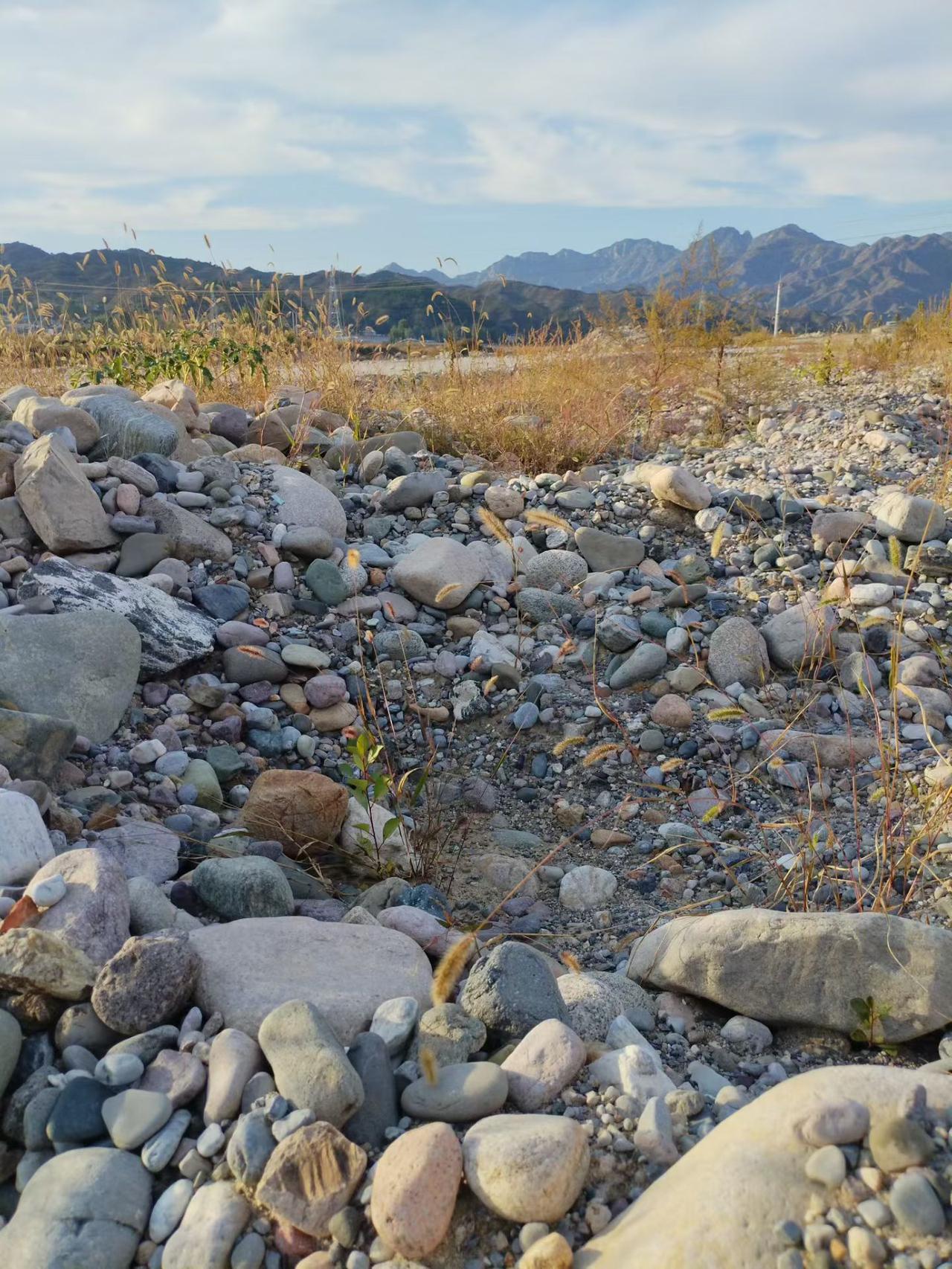 发一张户外照片看看