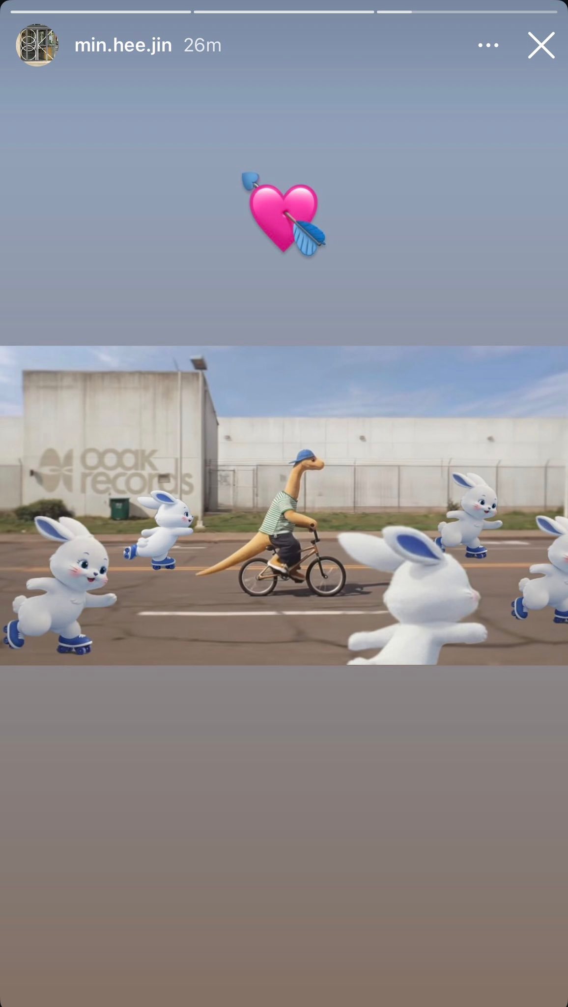 小姐姐我想问问你是真心喜欢newjeans吗？那为什么要这样溜我们粉丝呢？ 