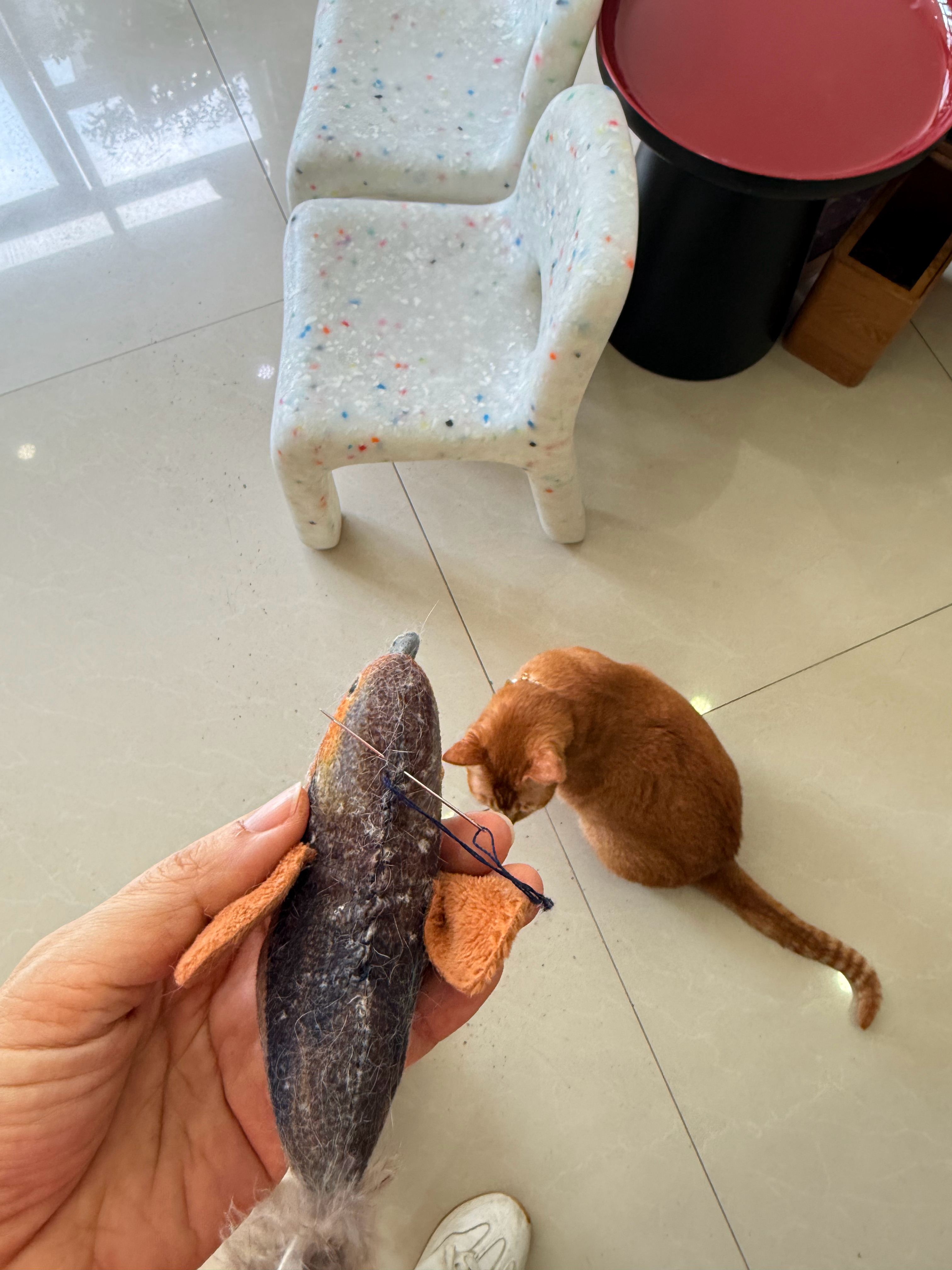 耐心的在等我帮他把玩开裂的心爱玩具缝好，谢谢阿胖，让我感觉自己的针线活棒棒的。猫