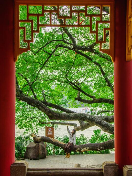 直接复制❗被问800遍的惠州2天1夜攻略❗