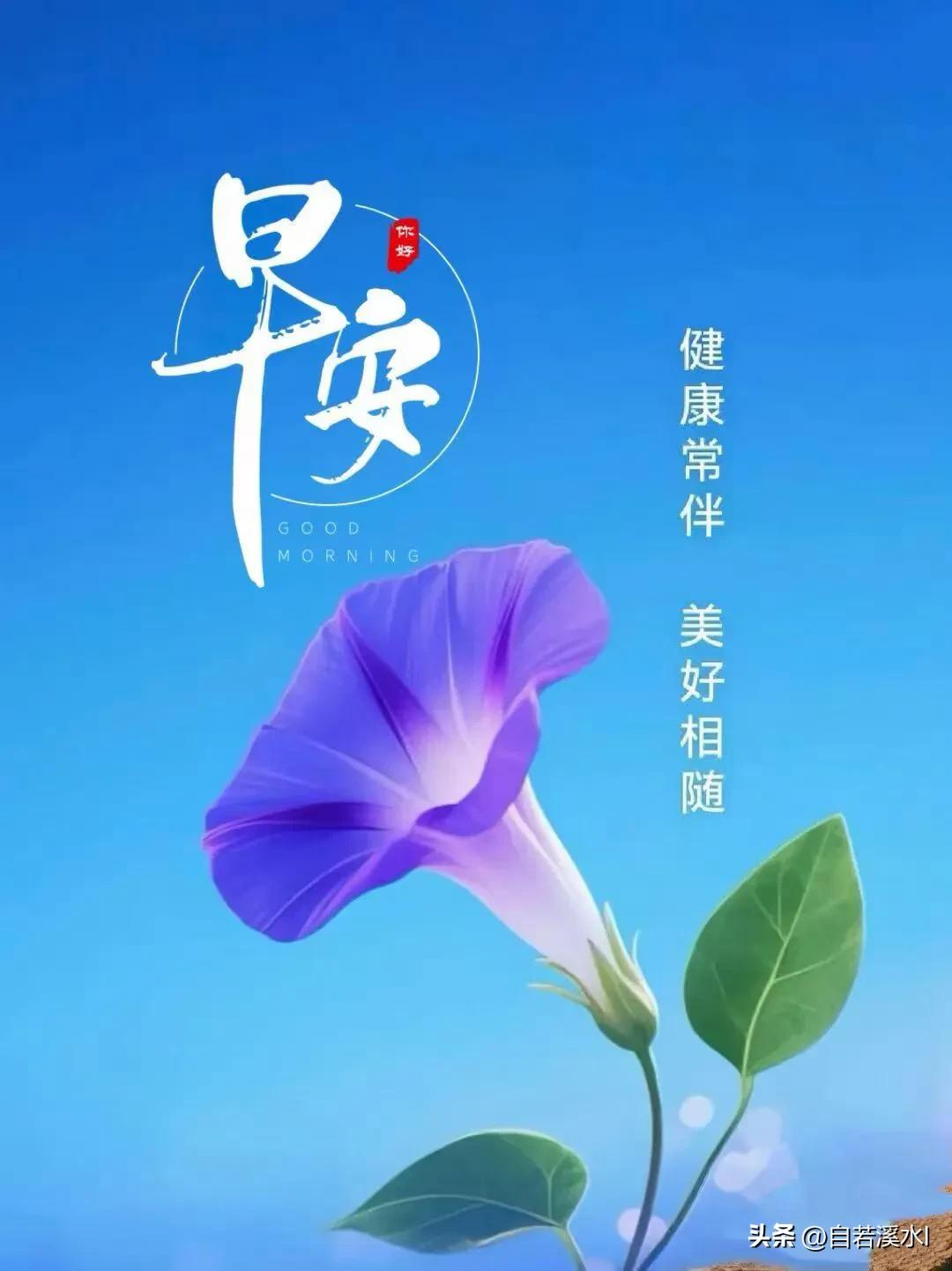 醒来有清风相伴，愿你一整天都被好运包围，早安。