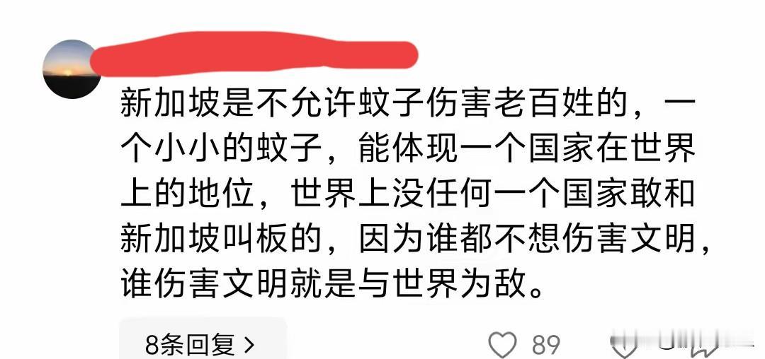 这样舔新加坡也算是空前绝后了，新加坡人看到都要菊花一紧，你这么舔新加坡，但如果你