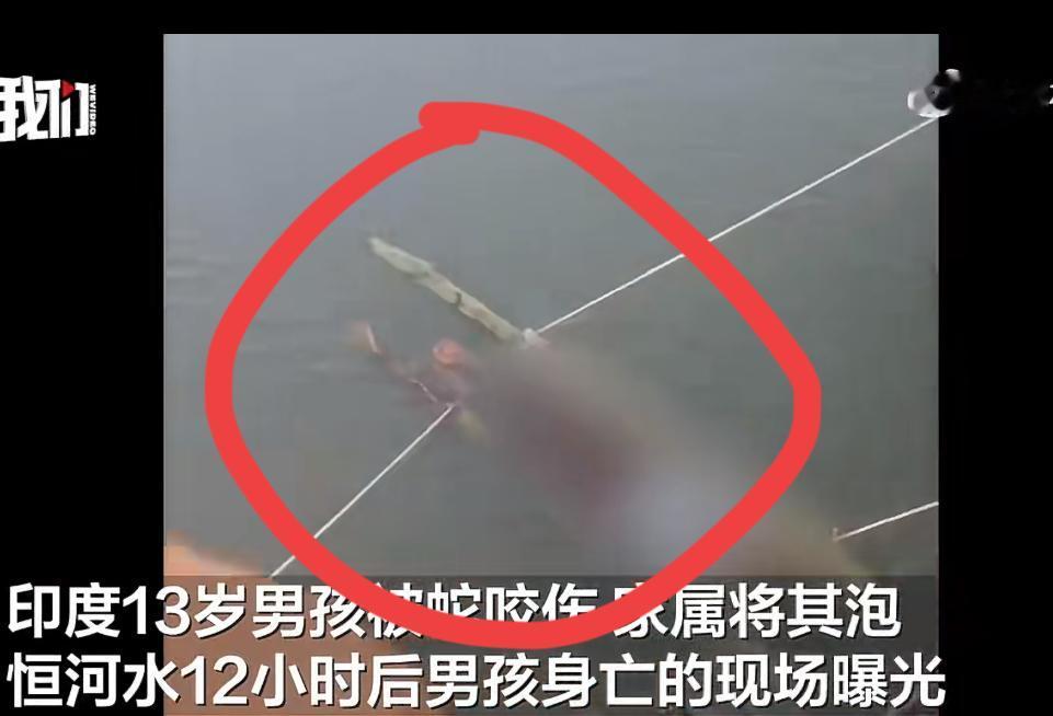 印度一13岁男孩被毒蛇咬伤，家人听信偏方，把他丢在恒河水里以为可以排毒，最终毒发