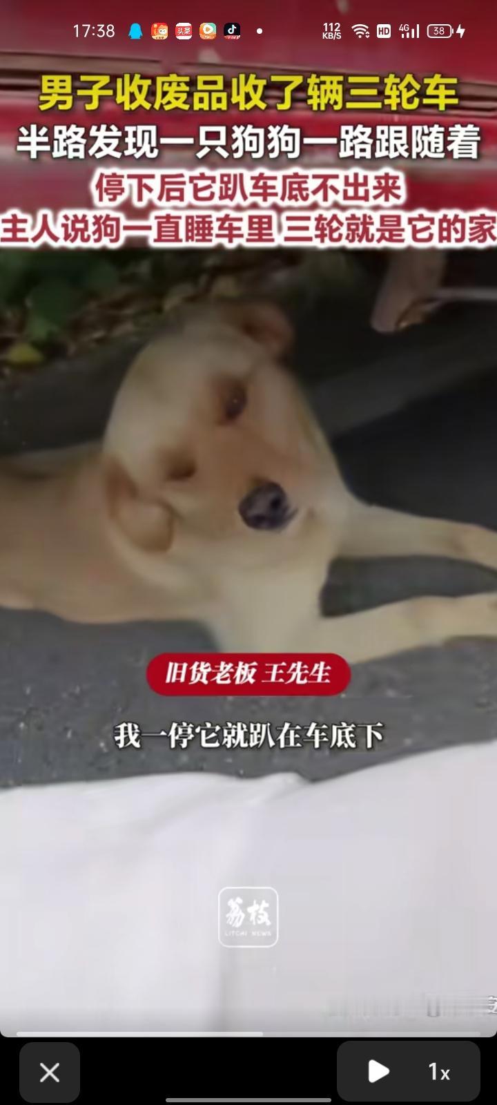 6月13日，泰州泰兴市。男子收废品收到了三轮车，半路发现狗狗一直跟随着，停下后它