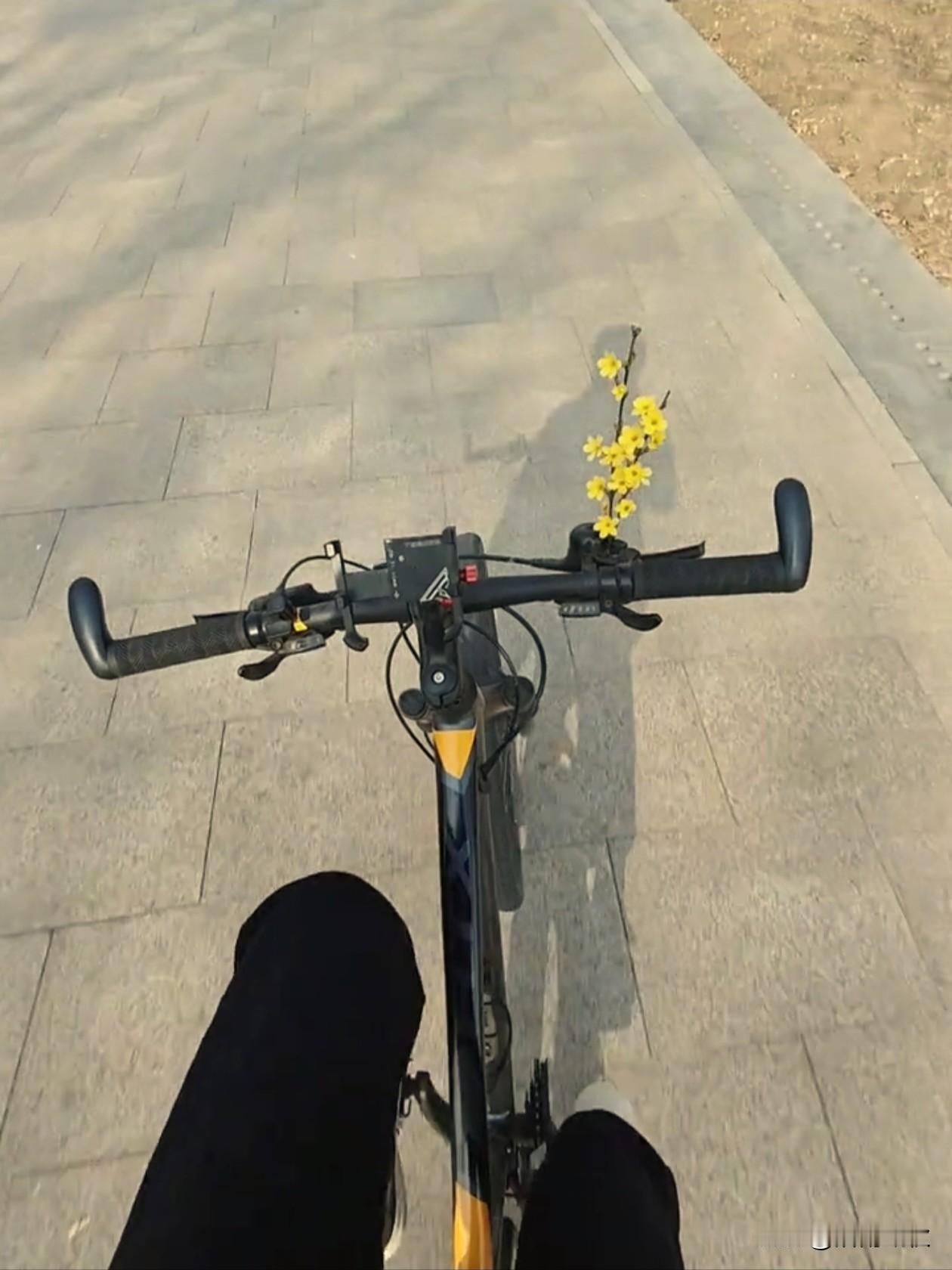 🛵💨𝗛𝗮𝗽𝗽𝘆·✿ ᵕ̈ ✌︎ ʺ̤

          出门晃