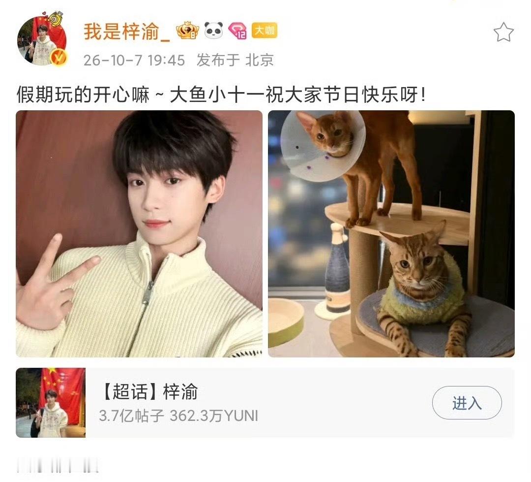 梓渝分享了大鱼和小十一近照～感觉不对，小十一戴了伊丽莎白圈，是不是拆🥚了！[笑