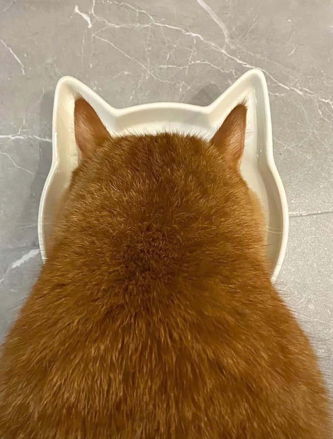 量身定做 ​​​