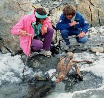 1991年，一对夫妻攀登3000米的阿尔卑斯山时，发现了一个趴在雪中的冰人，他右