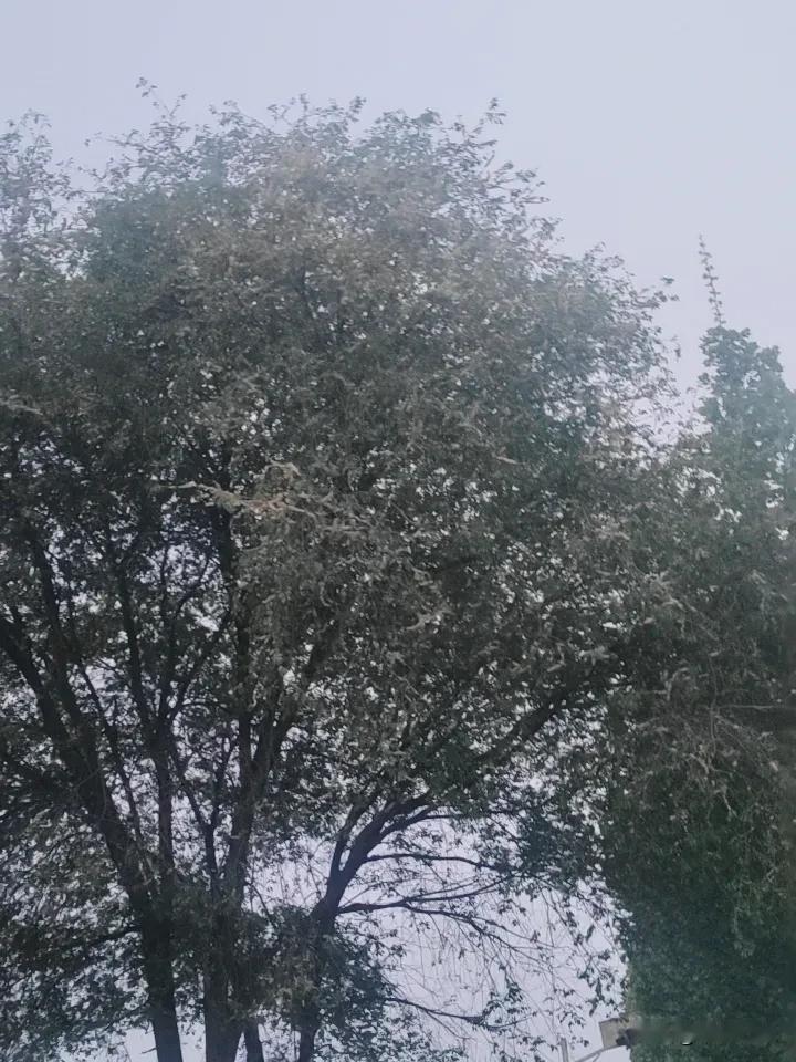 我问大师：如何能过得开心呢
大师说：少吃点，很多事都是吃饱撑的

吃不饱，更不开