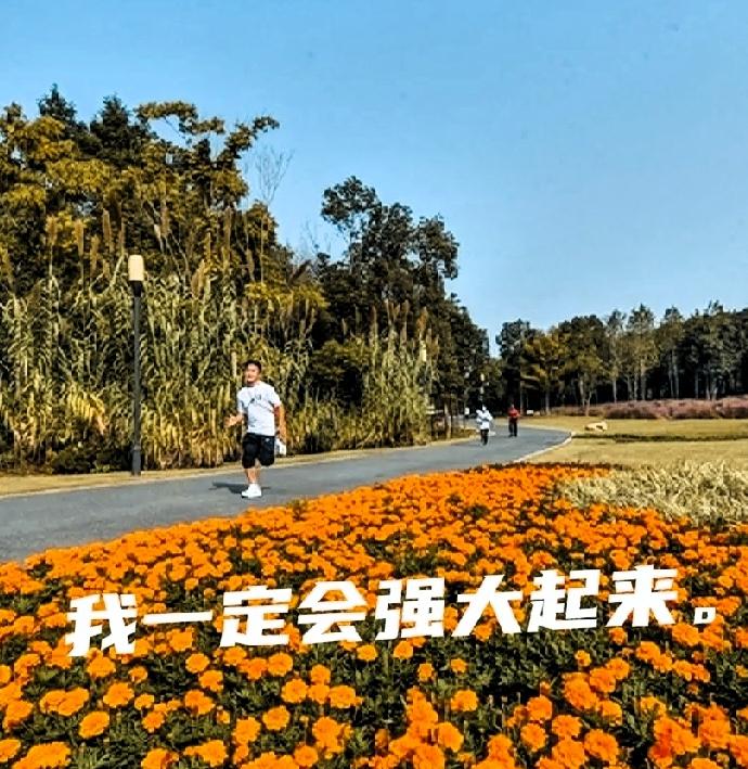 我没有把癌太当一回事
因为我脑子有这么多金条信息
我把他们填满胸间。

我明白着