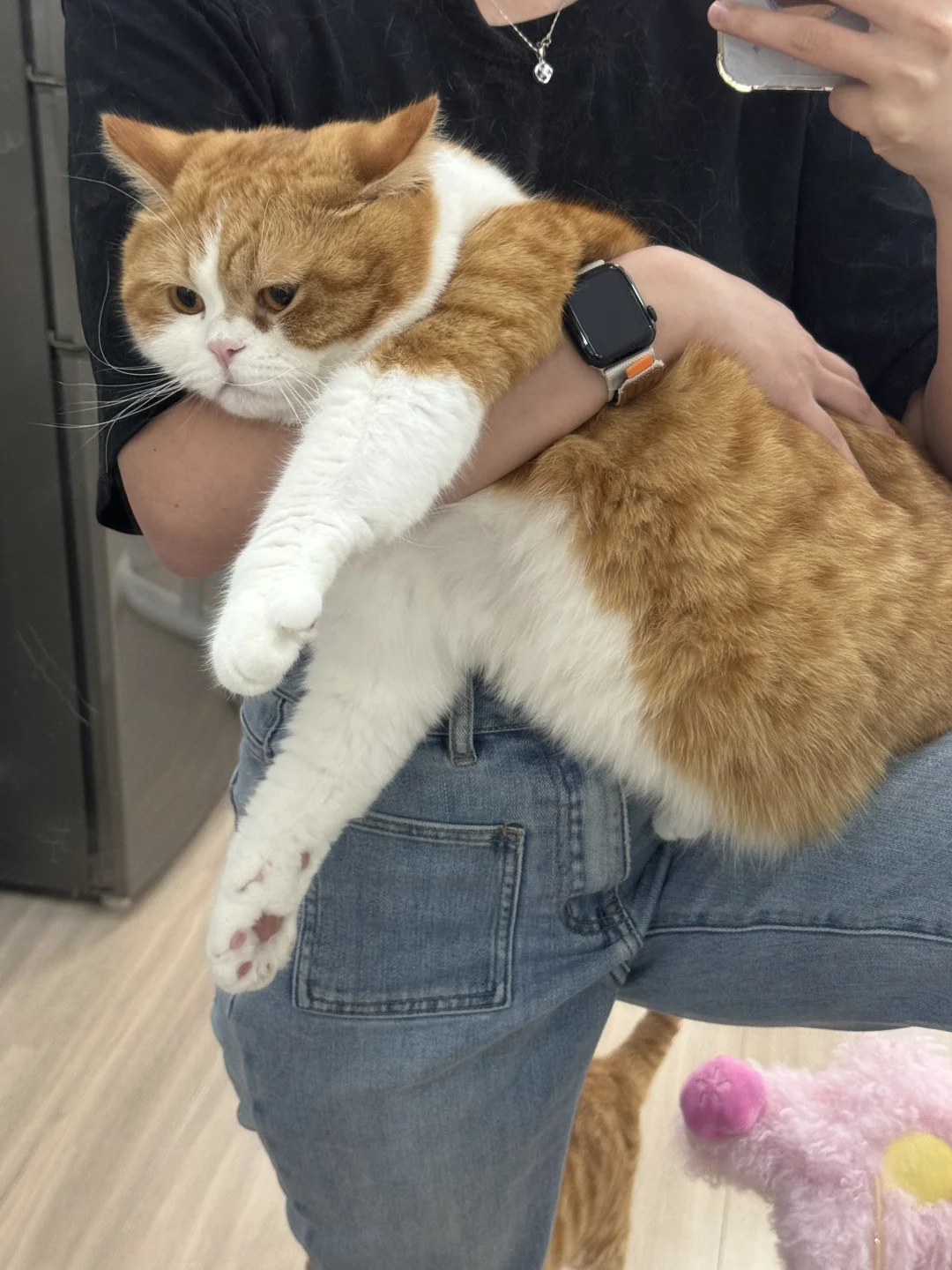 真的想不通 这婆娘为什么这么喜欢抱我