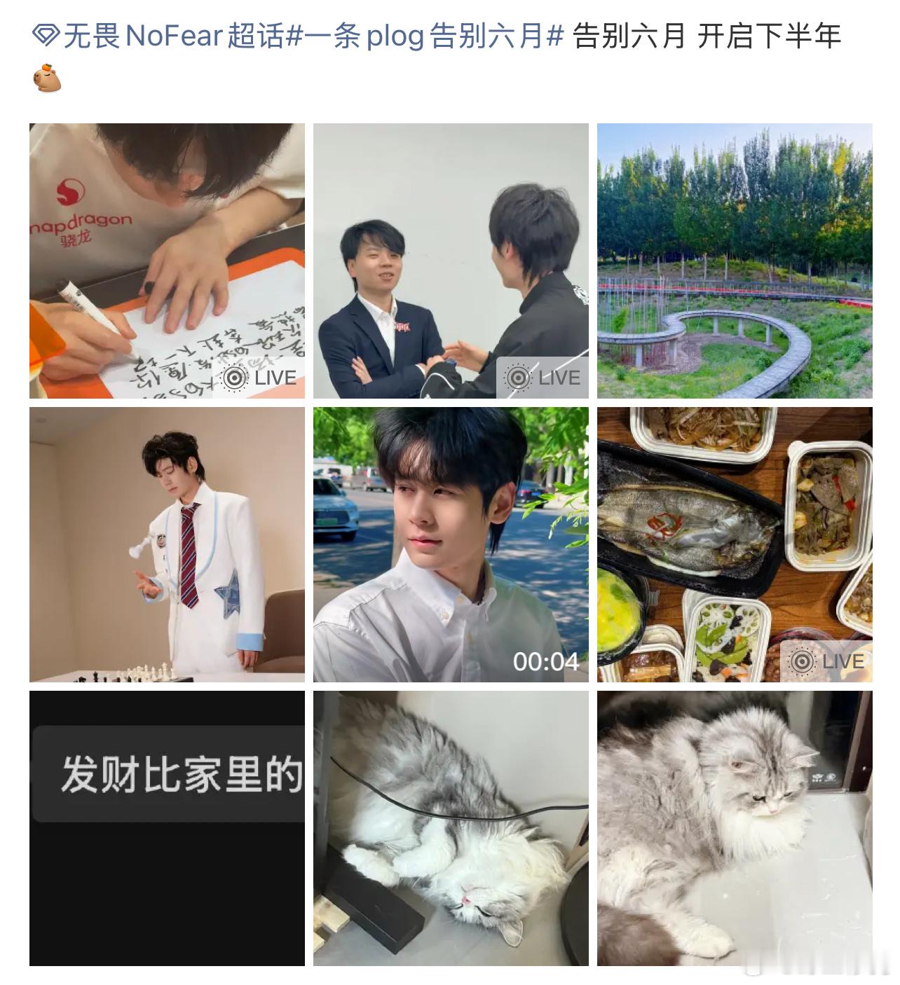 无畏告别六月plog无畏的plog里说发财是家里最乖的小猫，早说了我们财财是乖宝