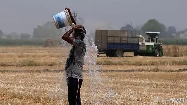 46℃烤焦印度：土壤80℃、水稻绝收，病根在20年土地纠纷印度的高温灾难，本质是