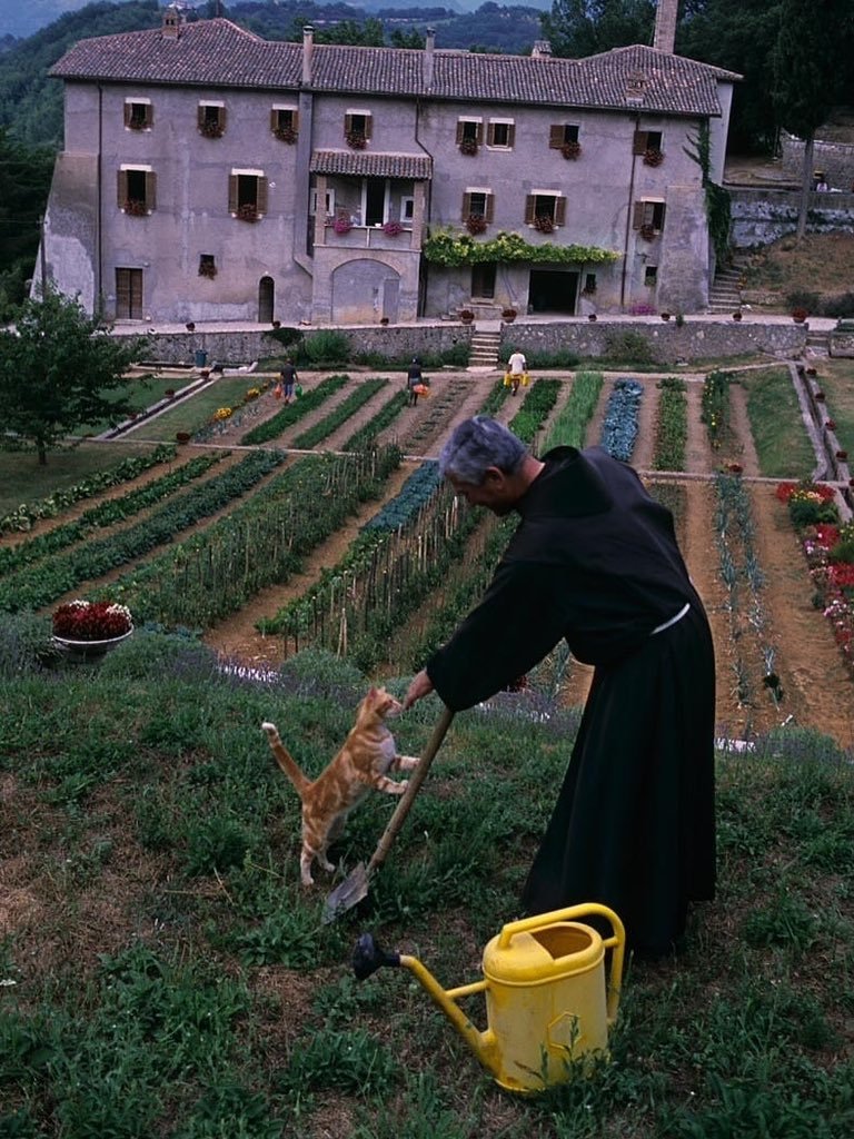 方济各会修道士和猫，意大利，列蒂的圣玛丽亚德拉福雷斯塔保护区。  2004年。 