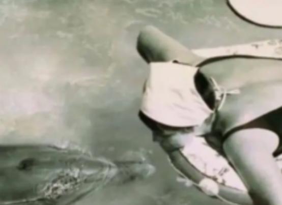 1965年，美国一名女子在进行实验时，竟与一只公海豚产生了感情，不久后，实验被迫