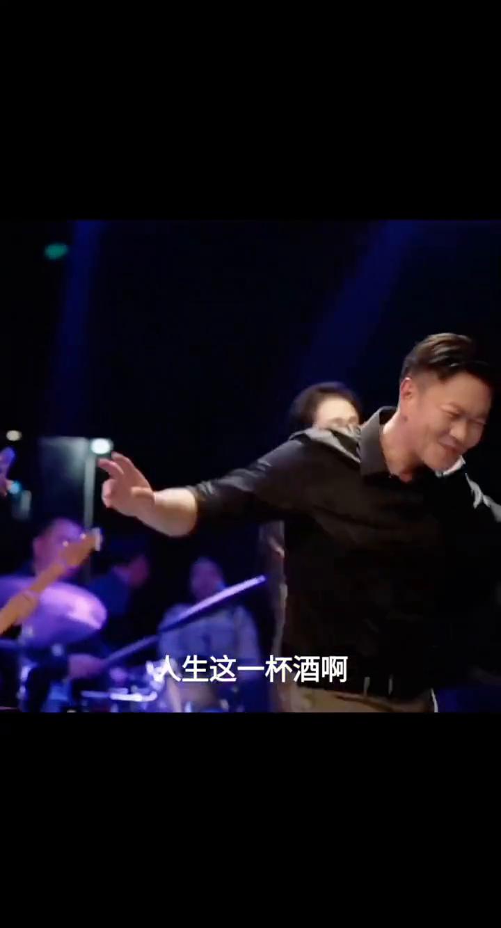 人生这一杯酒，只要一喝就上头。百般滋味皆入口，难醉红尘才罢休。