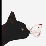 白旺热说体育