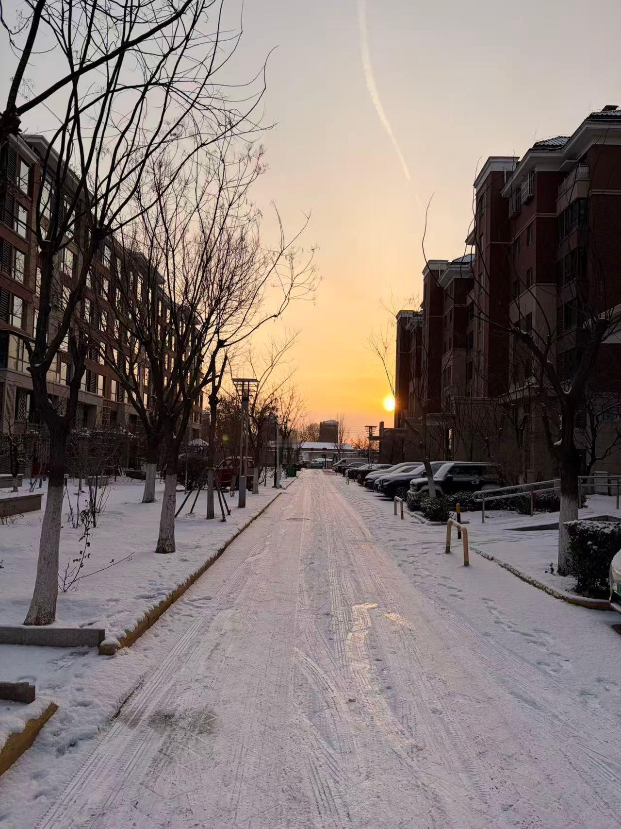 天津下雪 早上好呀老铁们，一觉醒来天津竟然下雪了，而且下的还挺大挺厚呢。这天气预
