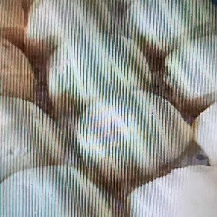 朋友总吃发酵馒头，好处还真不少。发酵馒头在制作时，酵母分解面粉里的糖类，产生二氧