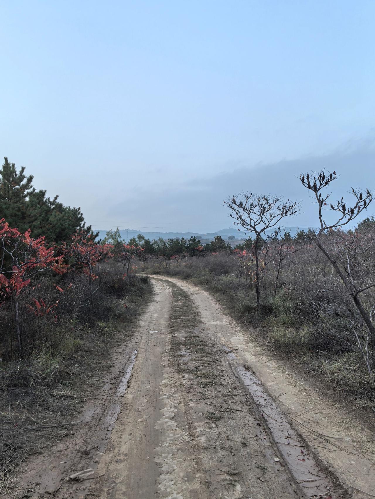 独来独往，散淡生活！