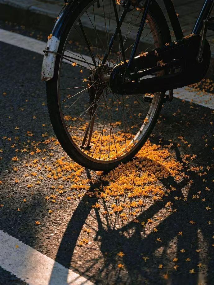 一个孩子很自卑，对自己没有信心，我该怎么做能让他对自己充满自信呢？ ​​​