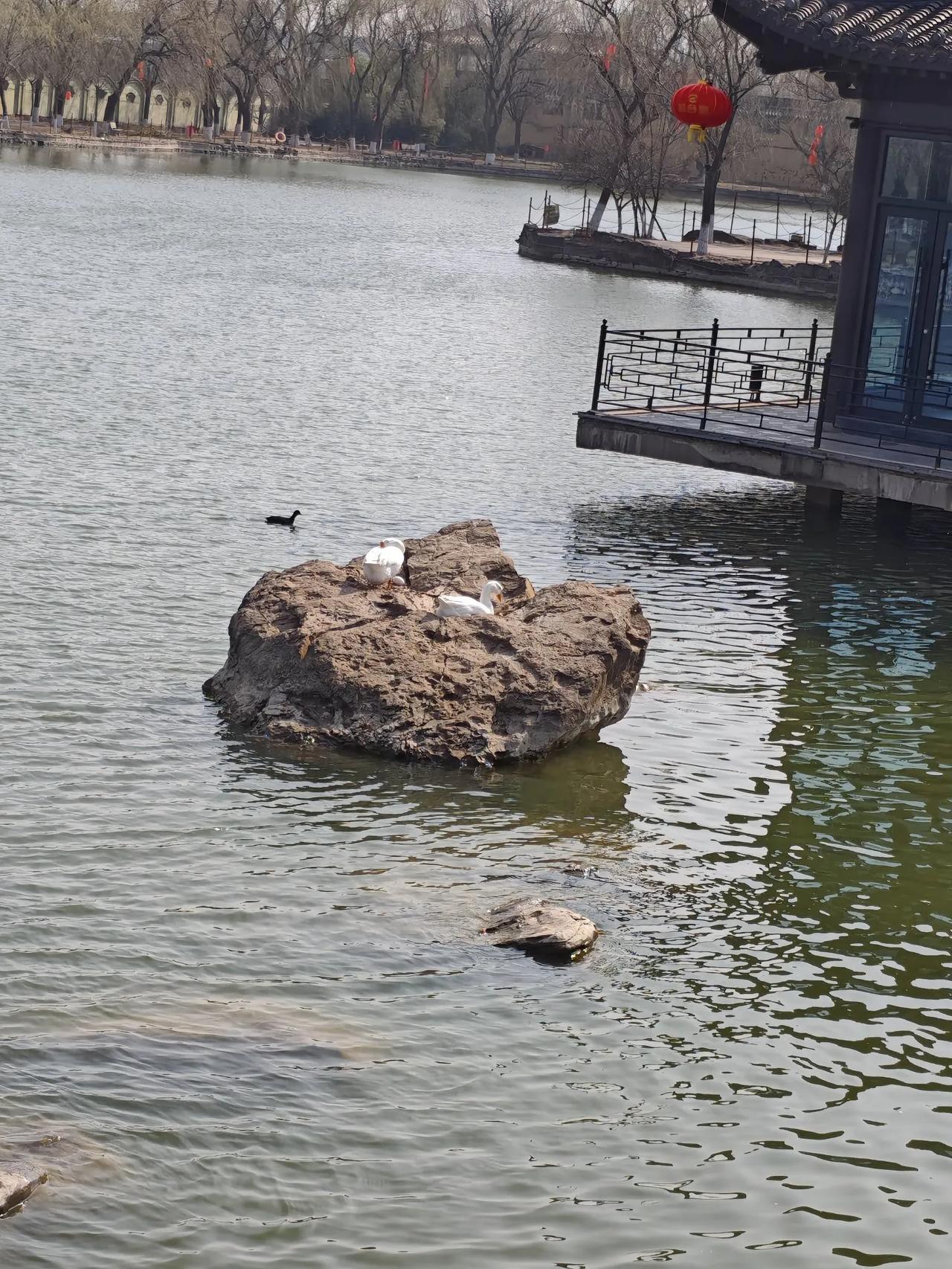 昨夜夜半时分，耳畔传来几声爆炸声响，我忽然灵机一动，不禁思索：战争究竟离我们有多