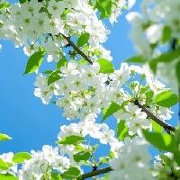 我的今日状态：😁轻松愉快
我这里的天气：🍂微风