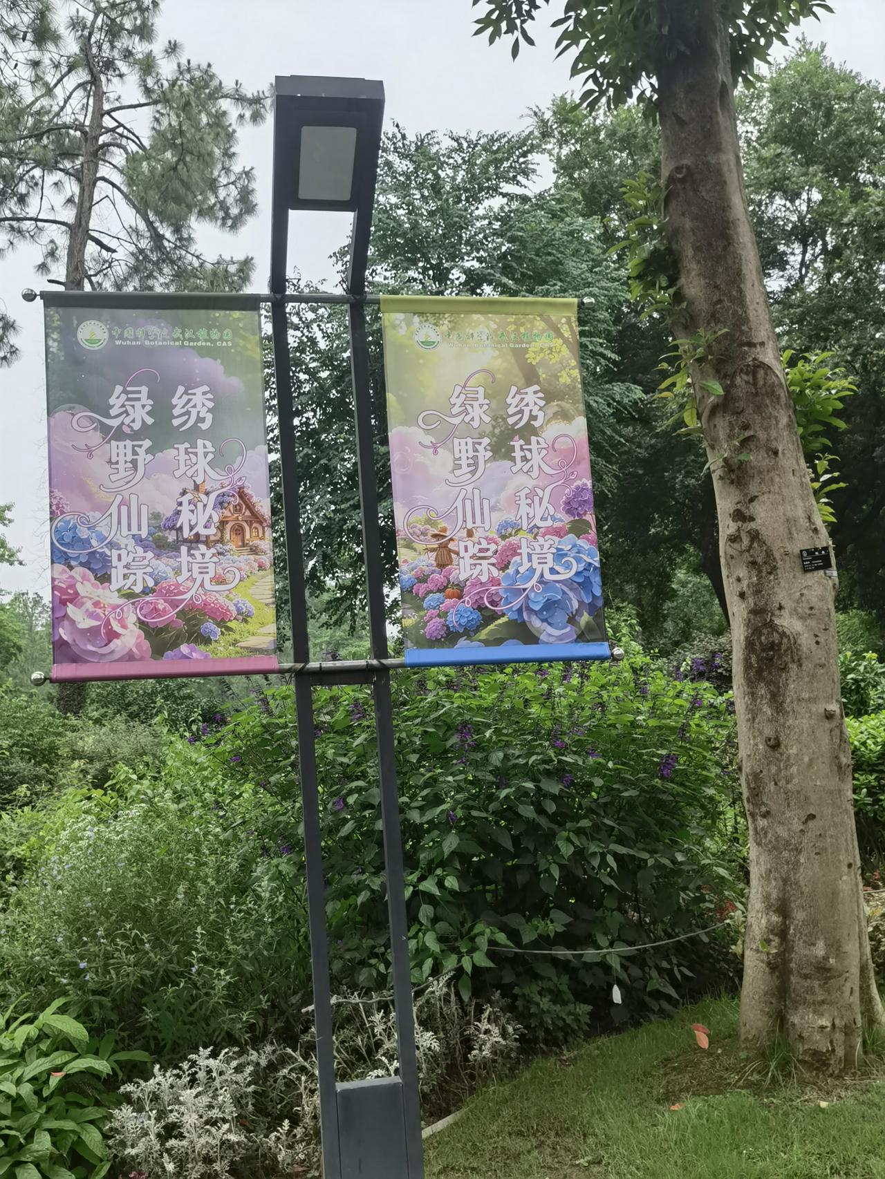 晒图笔记大赛武汉植物园夏日生活打卡季，随手拍照记录生活中的美好瞬间。
