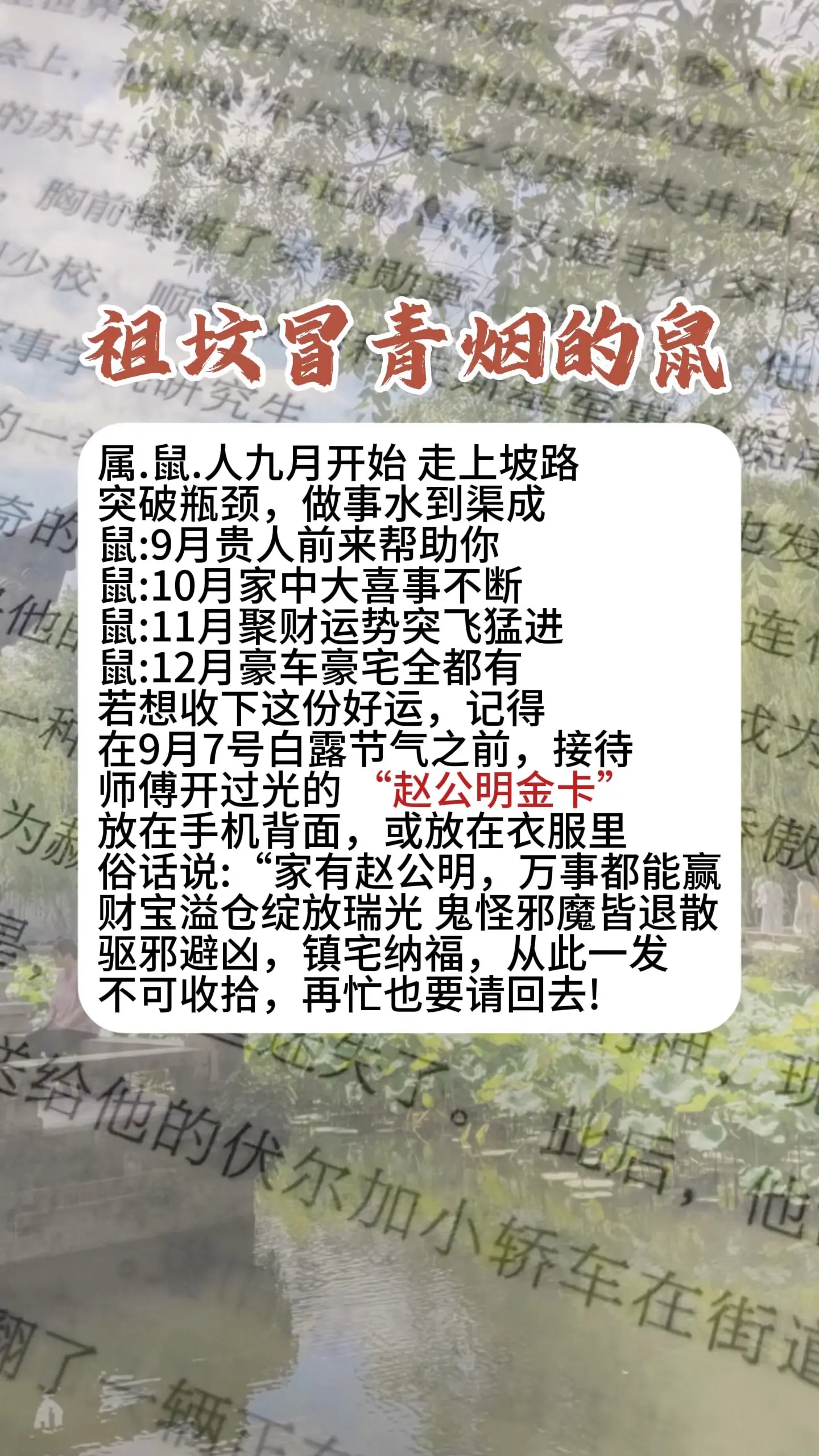 1996鼠 1984年老鼠 1972年的鼠