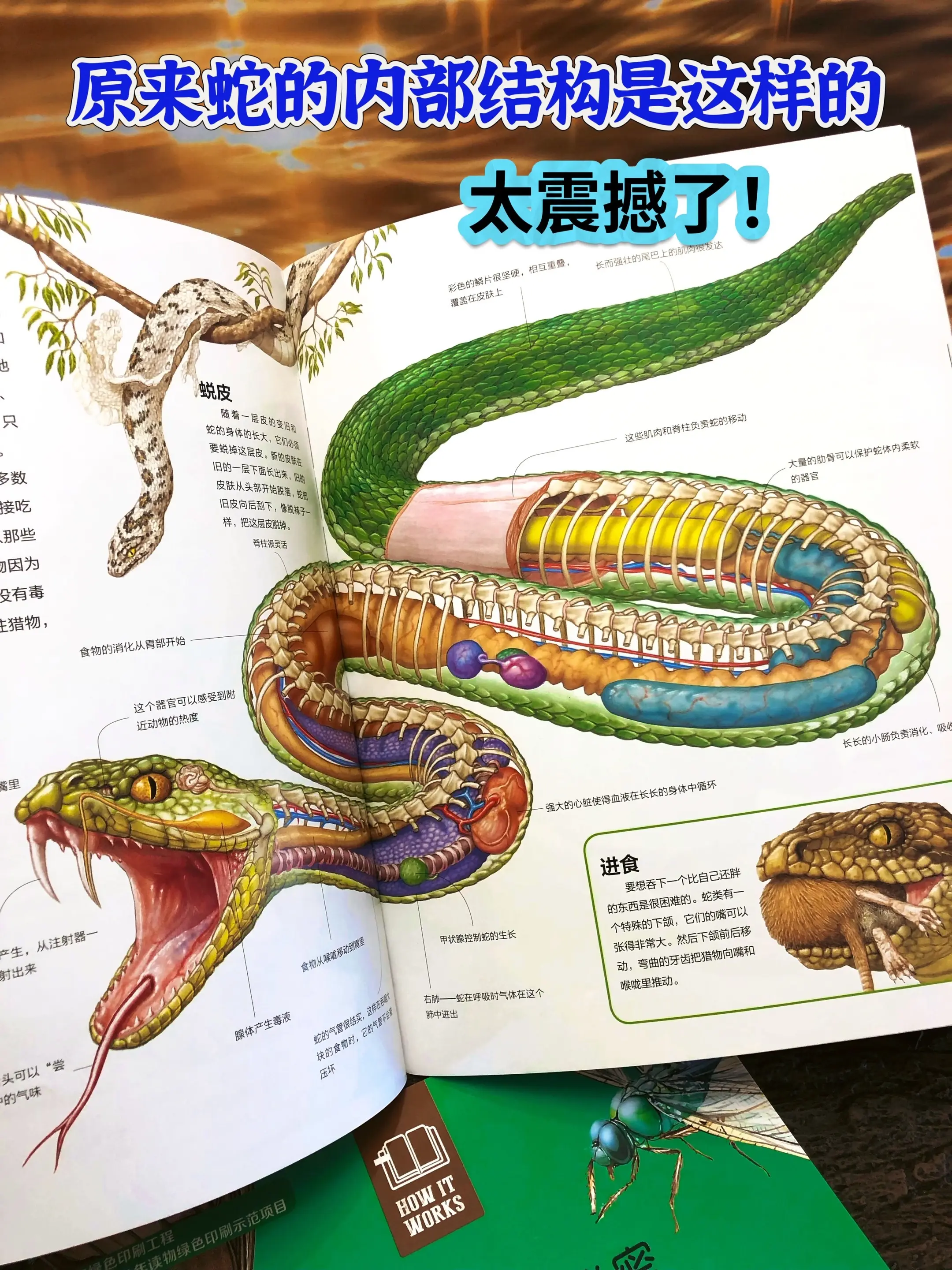 不愧是“青少年优质科普读物”太震撼了！✅不愧是由英国皇家天文学会院士领...
