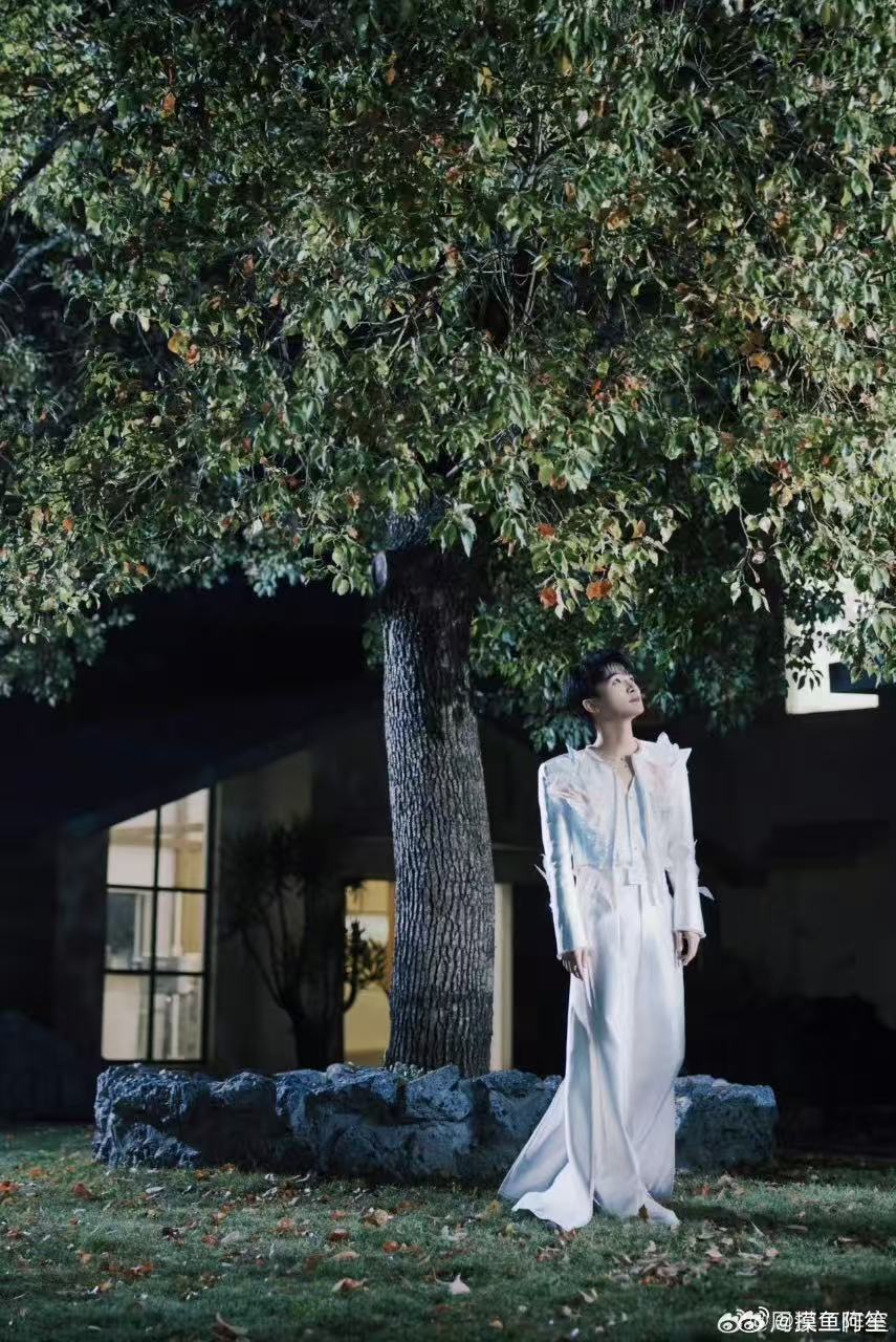 周深樱花树下站谁都好看 是谁又被周深的颜值和气质双双暴击？这组春日出发图氛围感拉