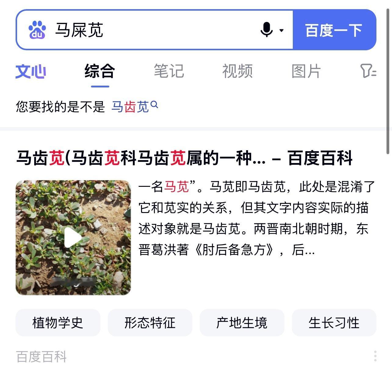 原来是马齿苋啊！我从小到大都是读马屎苋…………是懒音害了我 