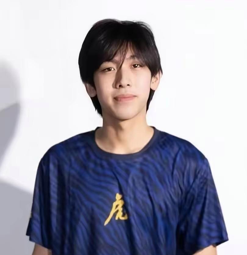 看了林志颖儿子的照片，感觉Kimi的外貌‌更像母亲陈若仪‌，尤其在脸型、嘴唇和下