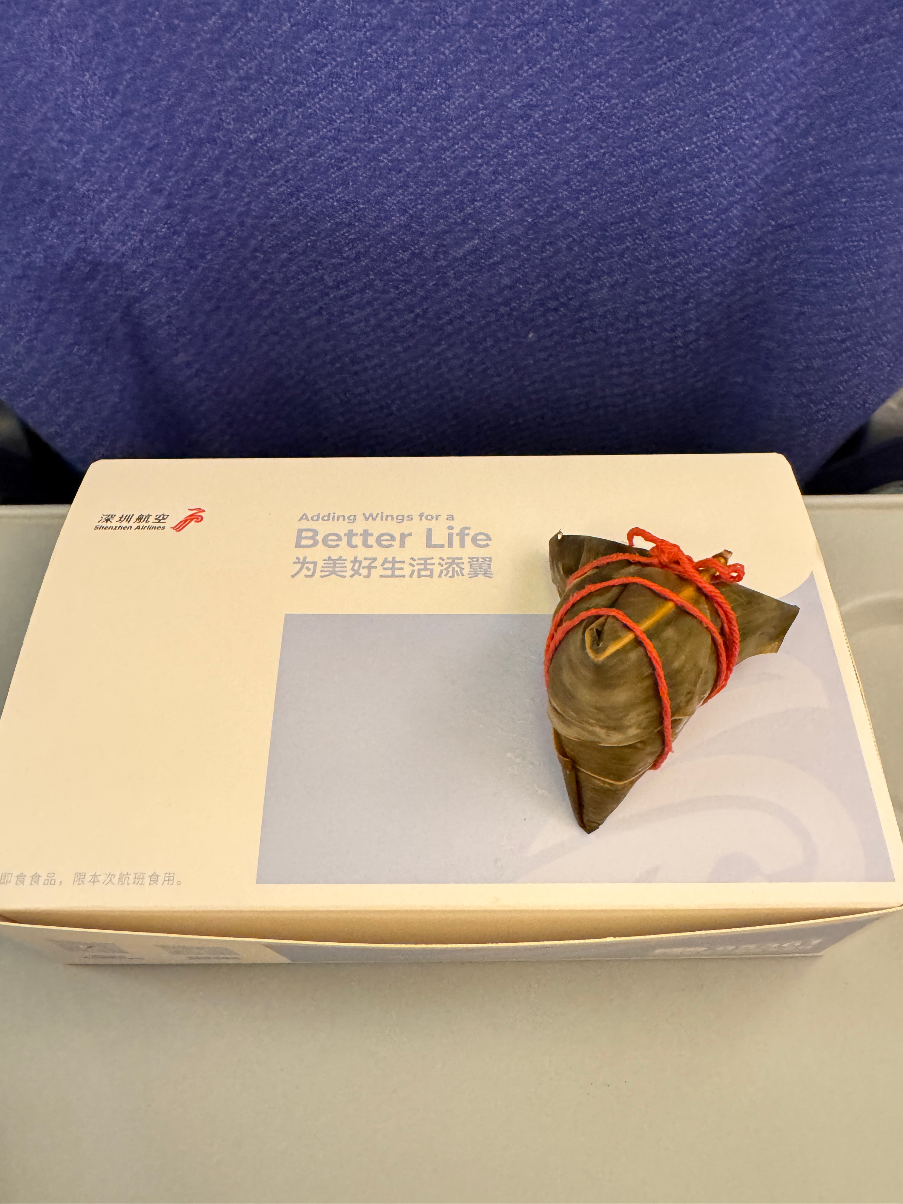 航班晚点了4个小时！ 被这可爱的小粽子化解了。端午安康端午节端午安康 无锡·苏南