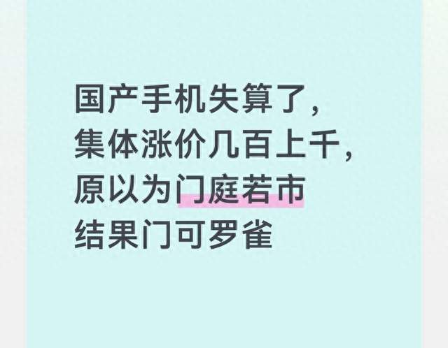 国产手机失算了，集体涨价几百上千，原以为门庭若市结果门可罗雀