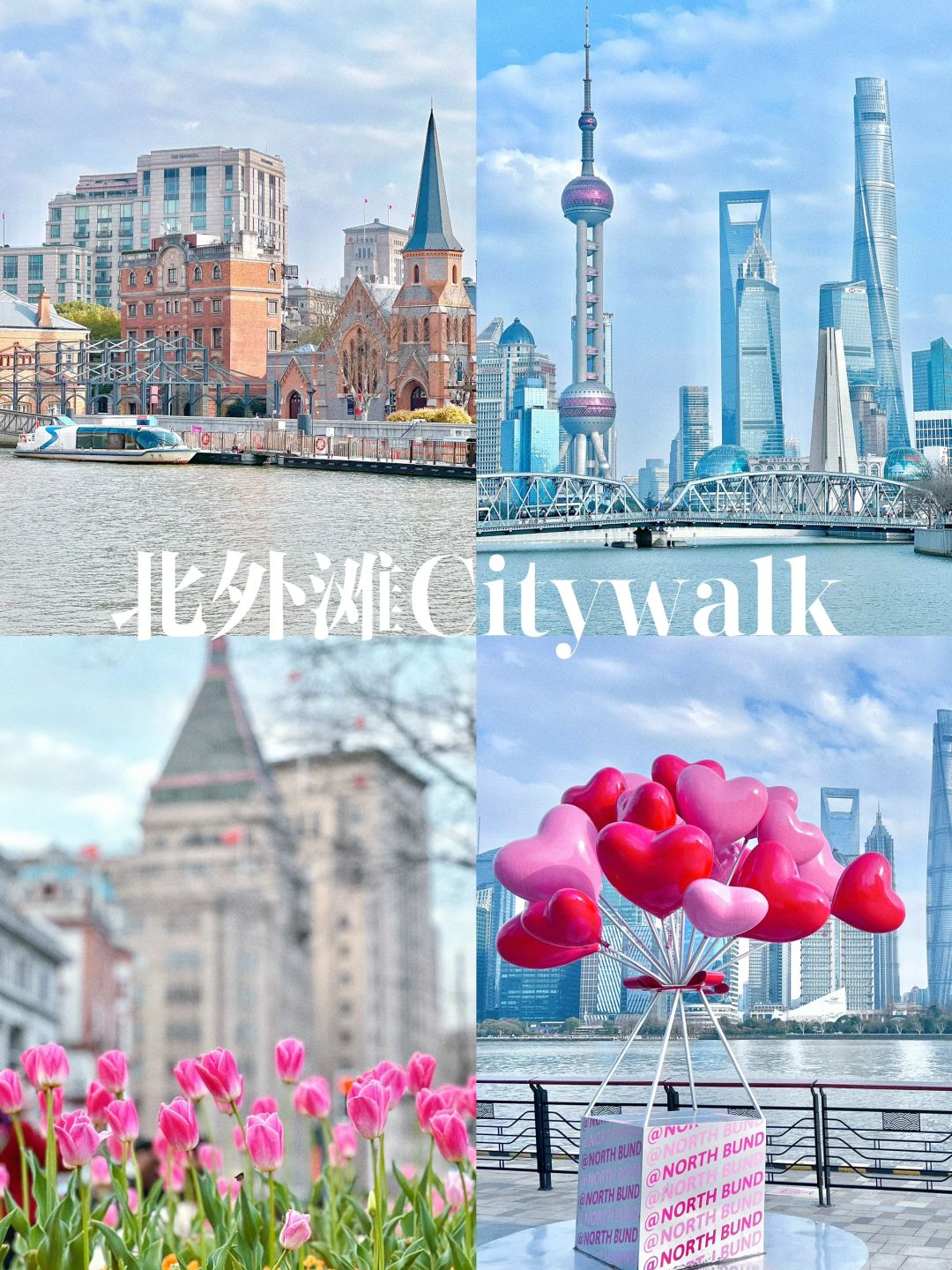 春日限定｜上海北外滩citywalk赏花路线