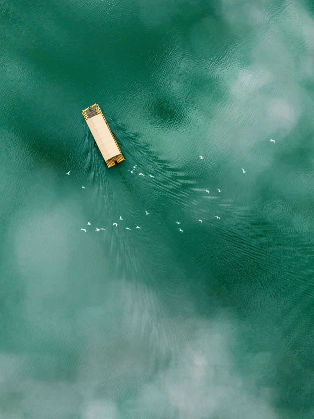 听劝‼️淡季来桐庐真的赢麻了|附1️⃣日游攻略