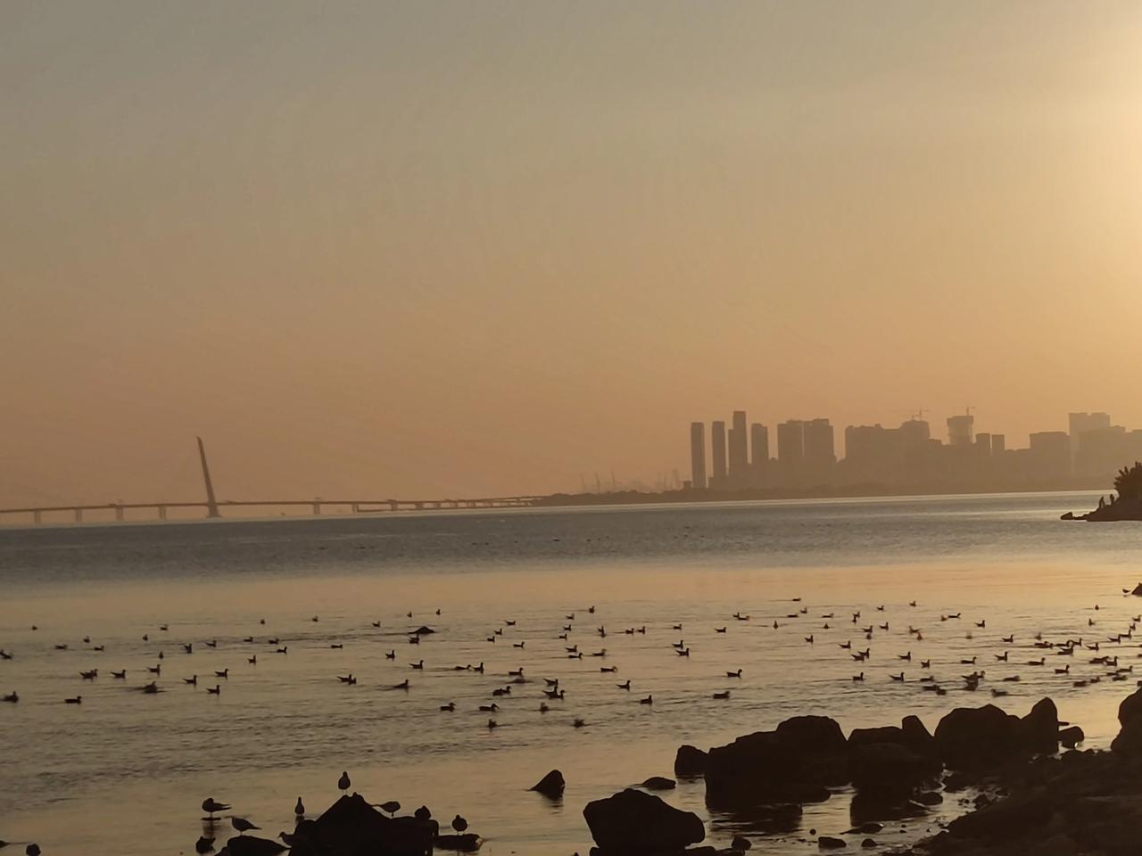 看不懂未来
在于自己习惯的先入为主的框架从上往下套，凡是不符合自己认知框架的一概