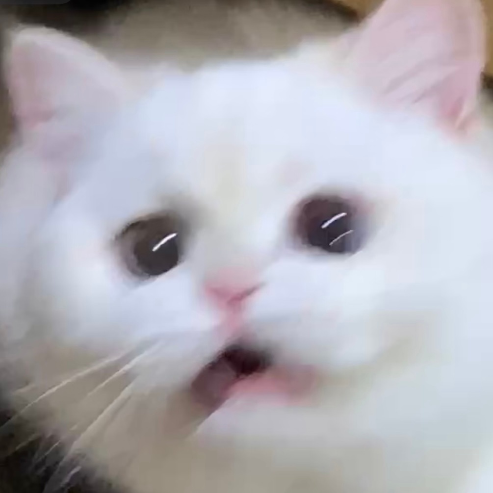 人 花在打我！！ ​​​