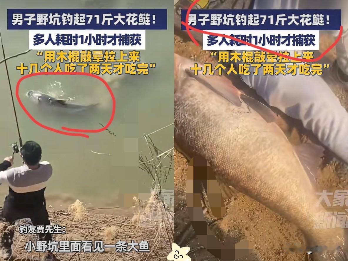 这能吹一辈子！河北邢台，一男子在野坑钓鱼，起竿时以为挂底了，没想到水下传来巨大的