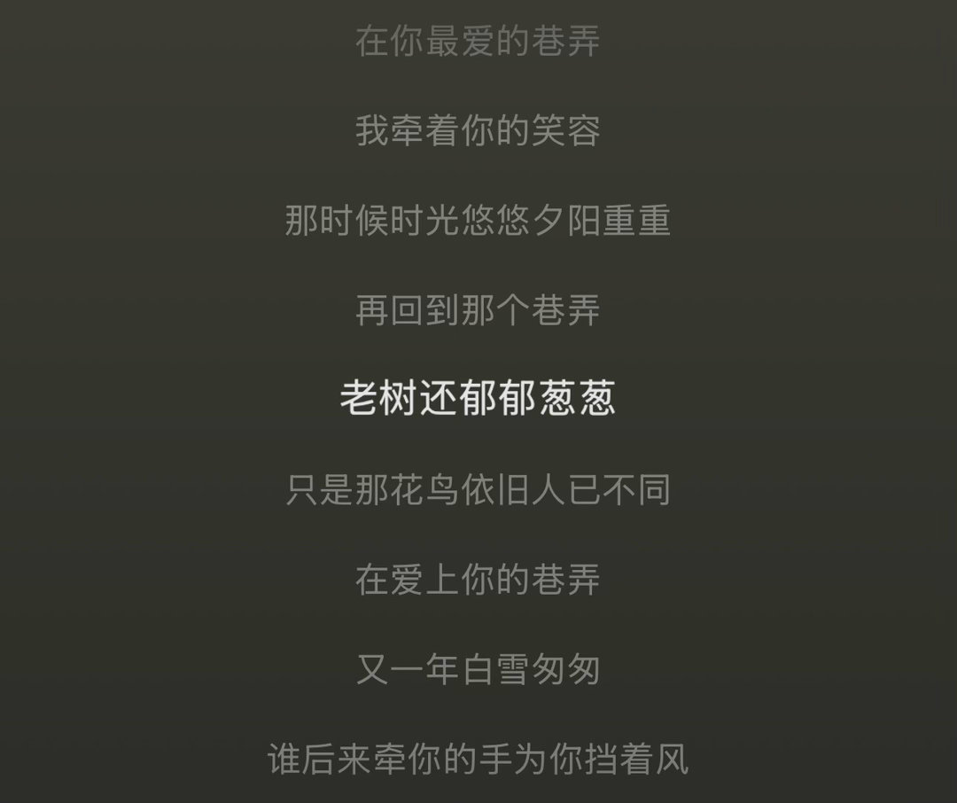 徐良«北京巷弄»  专栏 · 旋律悠然